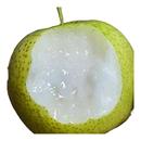 包邮 皇冠梨当季 新鲜水果梨子整箱翠冠梨水果酥脆蜜梨早梨青砀山梨