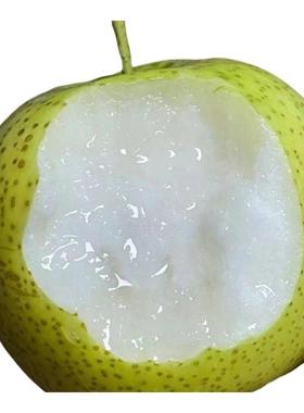 皇冠梨当季新鲜水果梨子整箱翠冠梨水果酥脆蜜梨早梨青砀山梨包邮