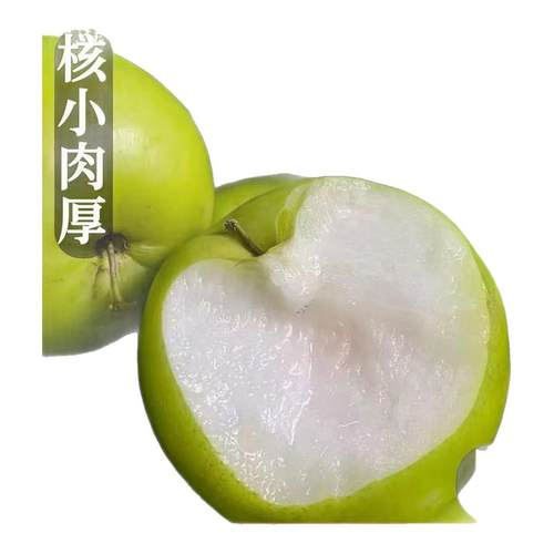 西双版纳苹果枣