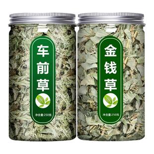 车前草金钱草中药材新鲜野生正宗干货官方旗舰店袋泡茶水喝中草药