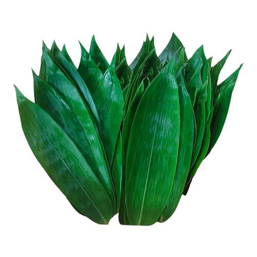 粽子叶新鲜大号宽粽叶旗舰店端午节包粽子专用的商用批发干箬叶