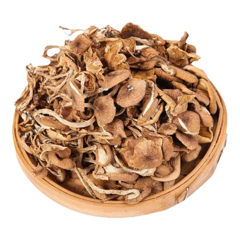 古田茶树菇干货农家特产级菌菇