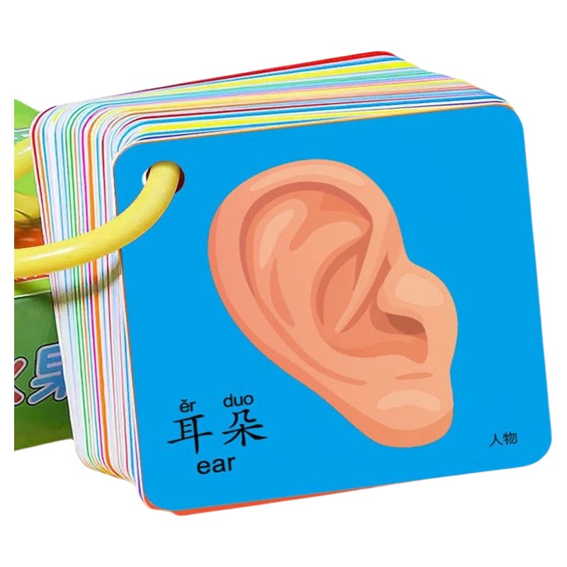 宝宝五官认知卡片人物幼儿童0-早教闪卡/潜能开发卡
