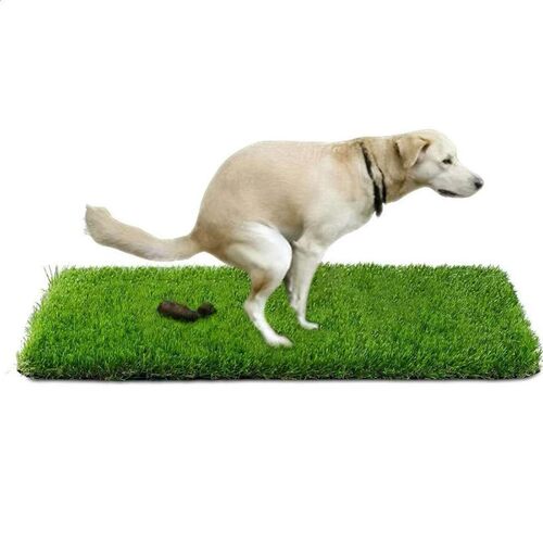 大型犬仿真防水清洗草坪狗厕所