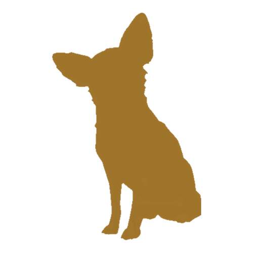 ACANA爱肯拿鸡肉均衡犬粮10.2kg