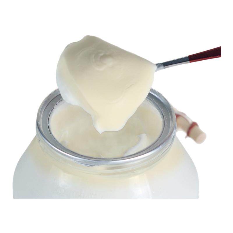 【官方直售】老马草原内蒙古奶皮子老酸奶1KG*2桶 送两瓶巴氏鲜奶