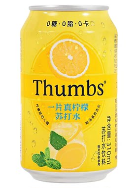一片真柠檬苏打水气泡水饮料0糖