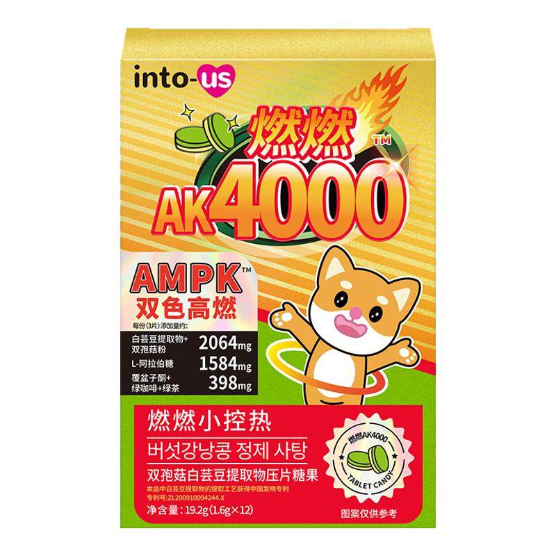 ���ڲ������ɿ���ɫ intousȼȼAK4000��ܿ�����Ƭ