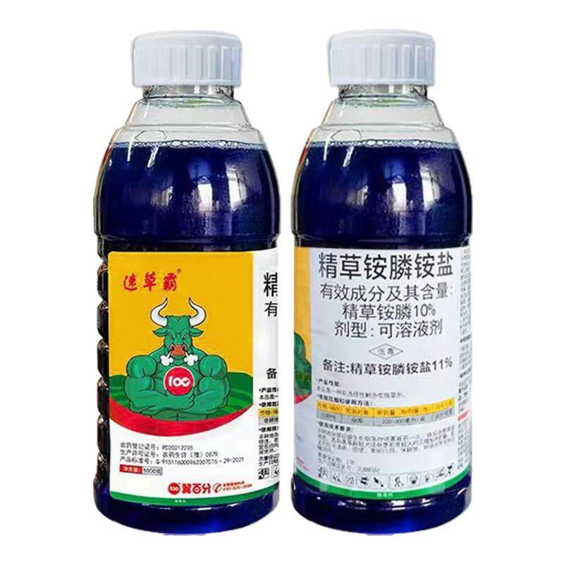 速草霸精草铵磷铵盐除草烂根剂正品杀恶性杂草小飞蓬牛筋草农药