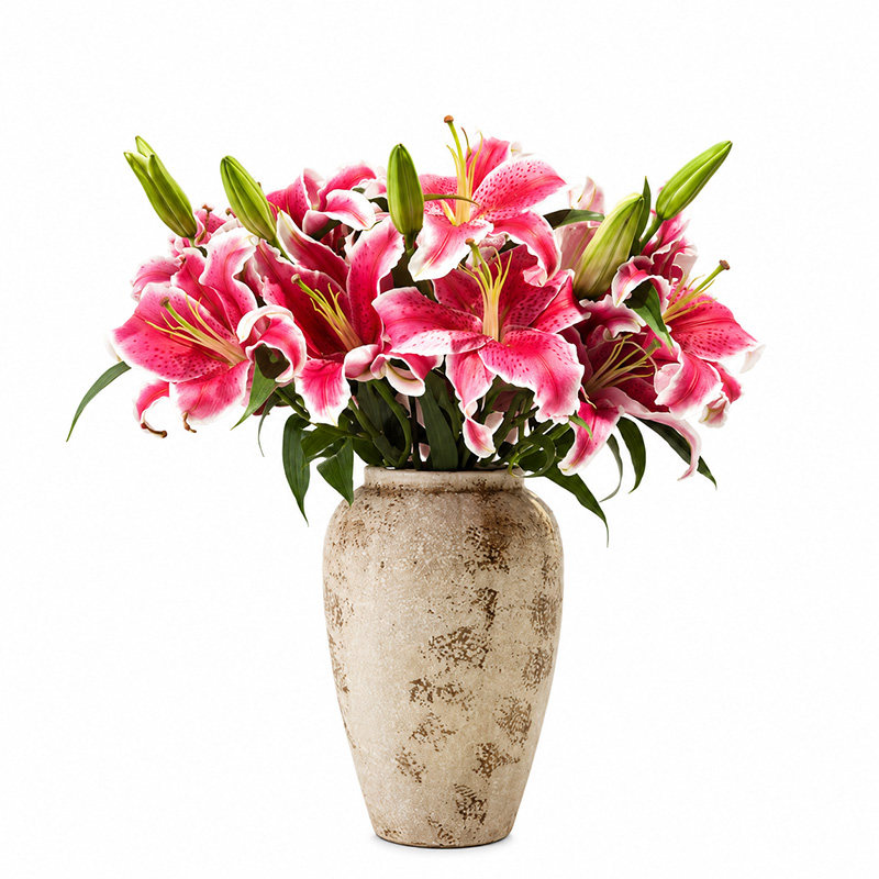 香水百合鲜切花云南直发重瓣花卉