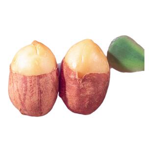 郯小谷净重香酥带皮五香蒜香奶油多味花生米休闲零食下酒菜炒货