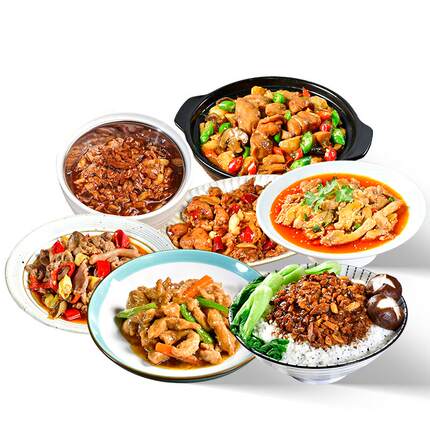 菜报告外卖料理包速食商用快餐盖饭半成品拌饭预制菜家用加热即食