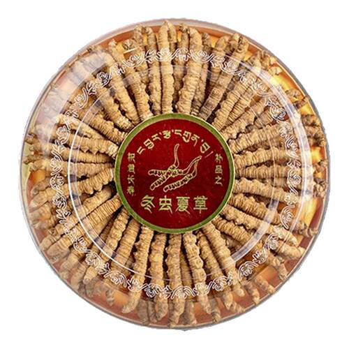 冬虫夏草正品头期虫草官方旗舰店