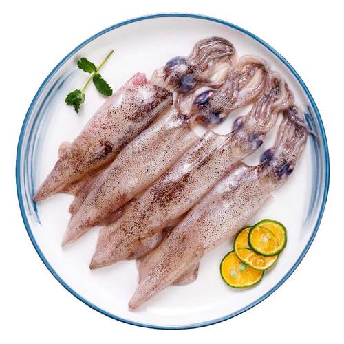 【顺丰次日达】新鲜海捕小管鱿鱼