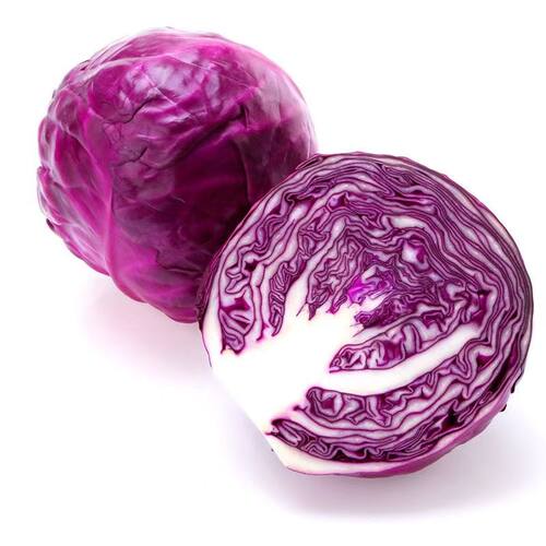 寿光蔬菜新鲜直发 紫甘蓝紫包菜紫色生菜球菜沙拉菜爆款