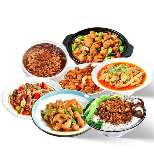 菜报告外卖料理包速食商用