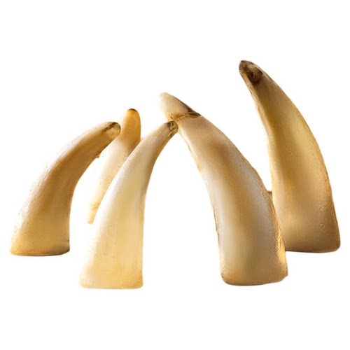 央妈推荐！0添加磨牙大牛角