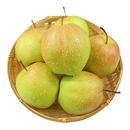包邮 正宗玉露香梨新鲜梨子脆冠苹果梨当季 现摘水果红酥甜青梨整箱