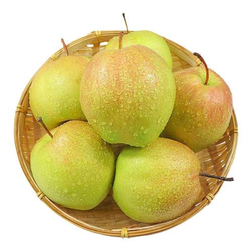 正宗玉露香梨新鲜梨子脆冠苹果梨当季现摘水果红酥甜青梨整箱包邮