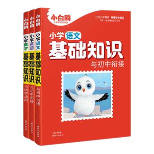 万唯小白鸥小升初基础知识大全总复习训练