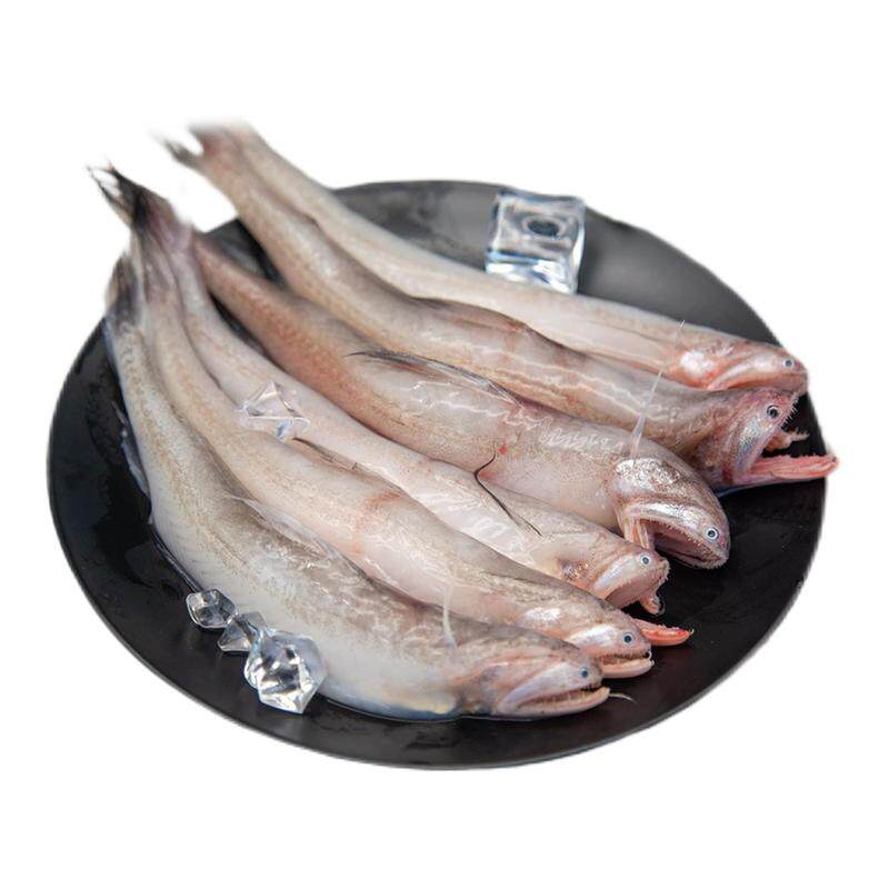 新鲜海捕冷冻龙头鱼豆腐鱼九肚鱼海鲜速冻水潺生鲜水产火锅海鱼