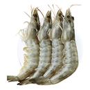 王牌大虾鲜活速冻超大基围虾海虾厄瓜多尔盐冻白虾南美对虾类海鲜