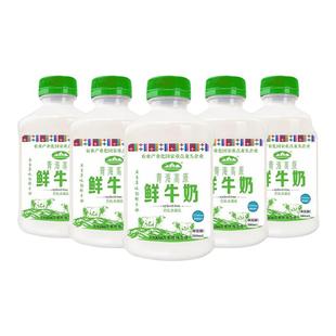 青海湖青海高原鲜牛奶500ml 8瓶巴氏杀菌成人儿童低温高原鲜奶