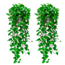 长藤绿萝室内盆栽壁挂绿植垂吊兰空调悬挂爬藤植物水培绿箩大叶