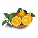 四川大凉山雷波脐橙新鲜水果现摘整箱10斤礼盒顺丰 官方旗舰店 包邮