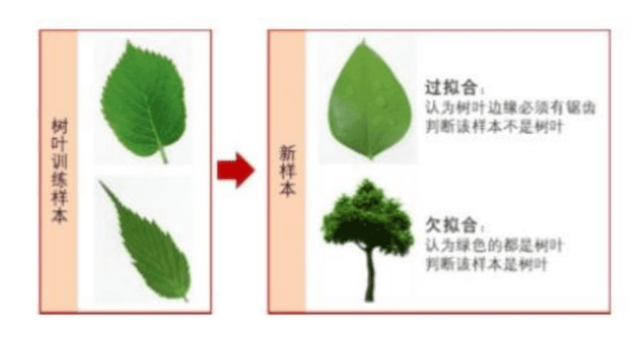 AI佳作解读系列(一)——深度学习模型训练痛点及解决方法第6张