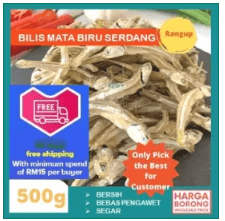 IKAN BILIS MATA BIRU SERDANG