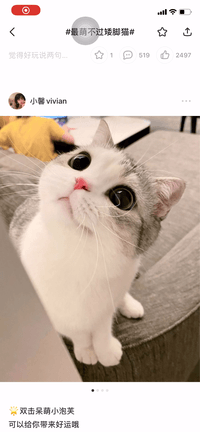 新版分享流程 新版分享流程