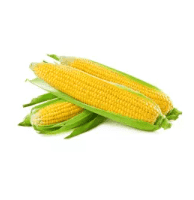 Corn on Cob (Jagung) ~2nos/pkt