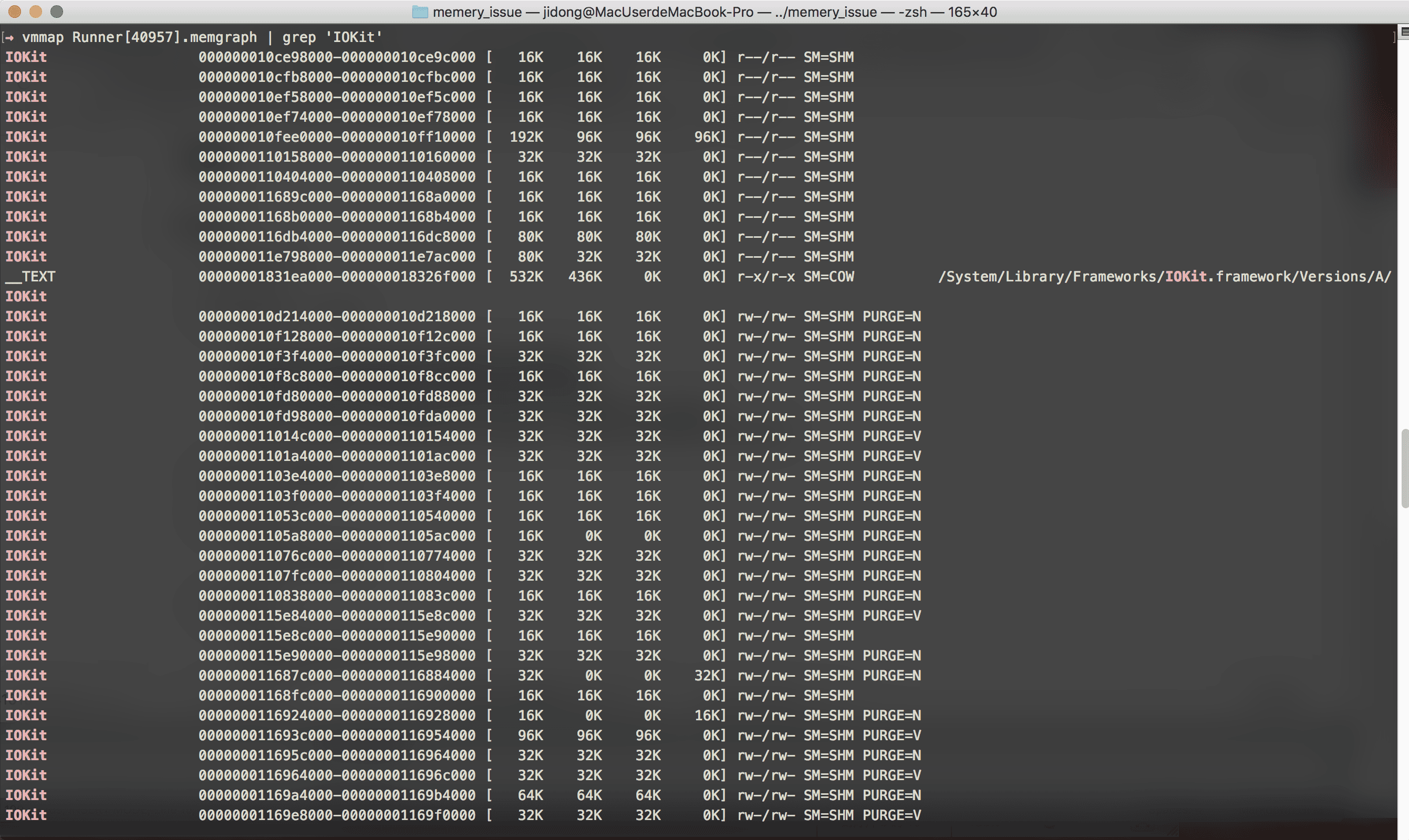 vmmap address