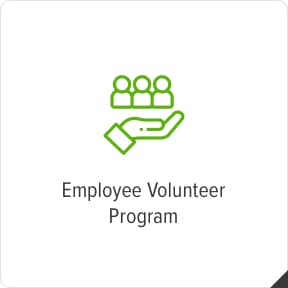 Employees volunteer