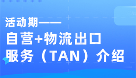 自营+物流出口服务（TAN）介绍