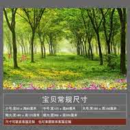 一色壁纸设计 一色壁纸布置 一色壁纸图片 颜色 淘宝海外