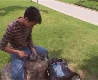 Roller Hot Wheel - Ref 2570862 Image 7