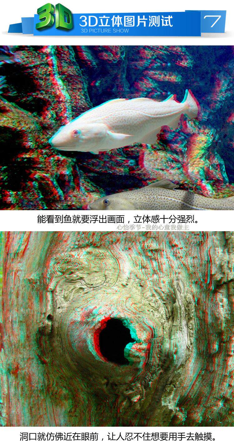 Lunettes 3D - Ref 2623597 Image 18