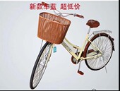Panier pour vélo en plastique - Ref 2257316 Image 28