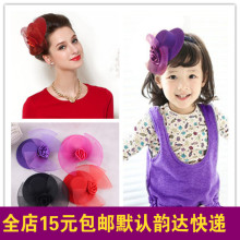 Extension cheveux - Chignon - Ref 239463 Image 31