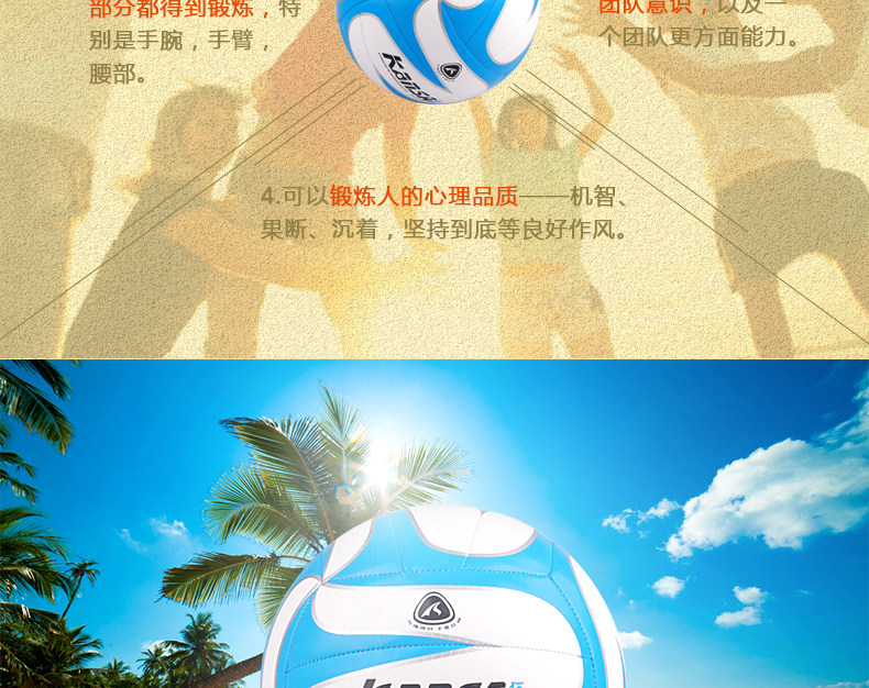 Ballon de volley-ball - Ref 2015979 Image 4