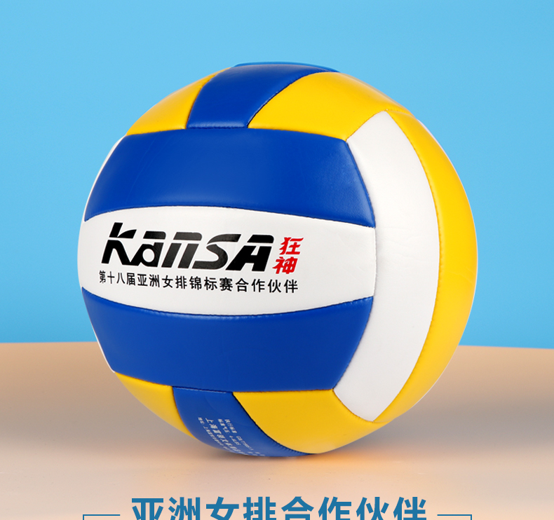 Ballon de volley - Ref 2013516 Image 6