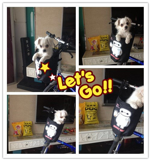 Panier pour vélo en toile - Ref 2257305 Image 31