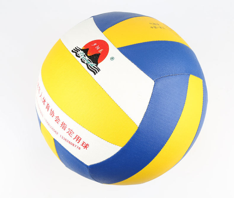 Ballon de volley - Ref 2016050 Image 29