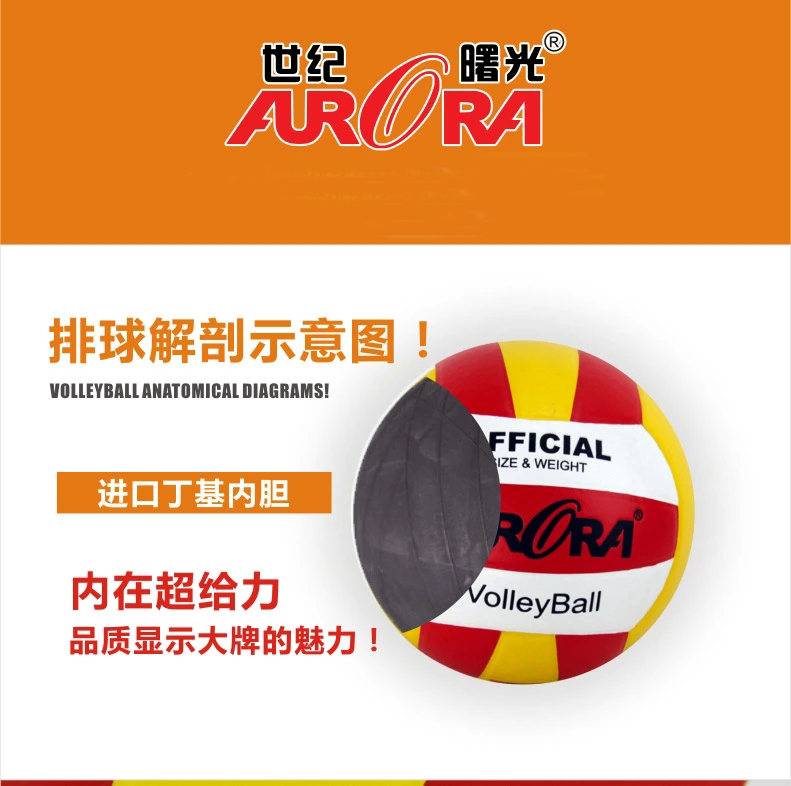 Ballon de volley-ball - Ref 2013303 Image 20