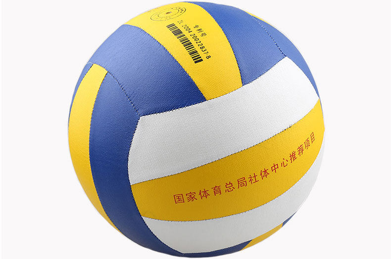 Ballon de volley - Ref 2016050 Image 33