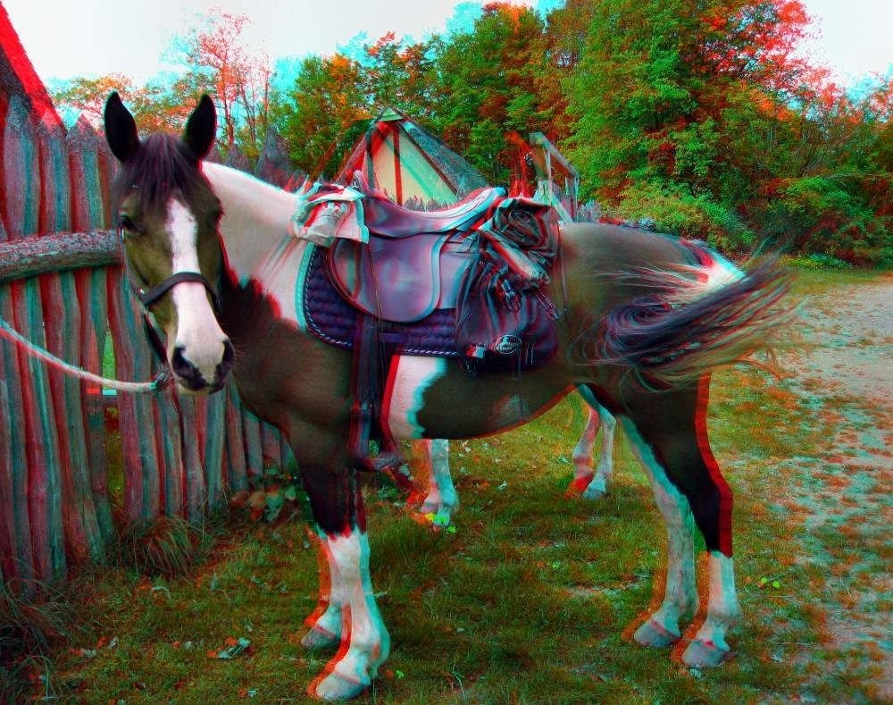 Lunettes 3D - Ref 2620257 Image 30