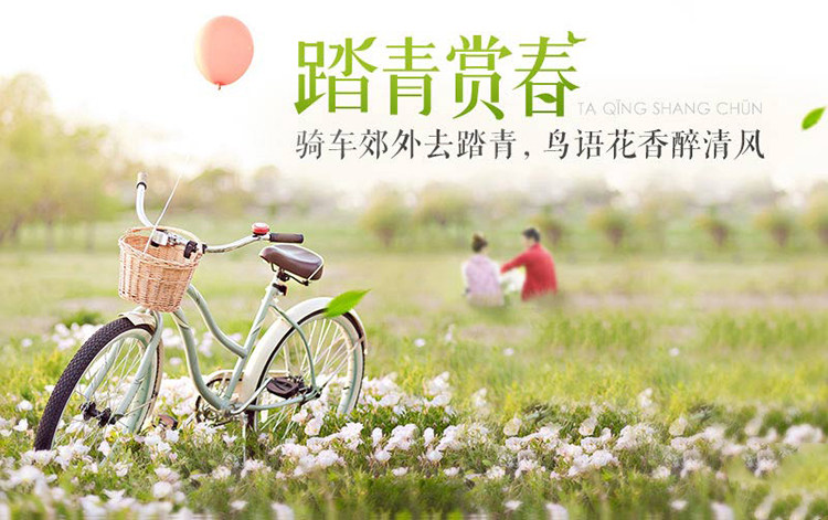 Panier pour vélo FOREVER en vigne - Ref 2257297 Image 6