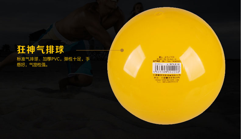 Ballon de volley - Ref 2012373 Image 9